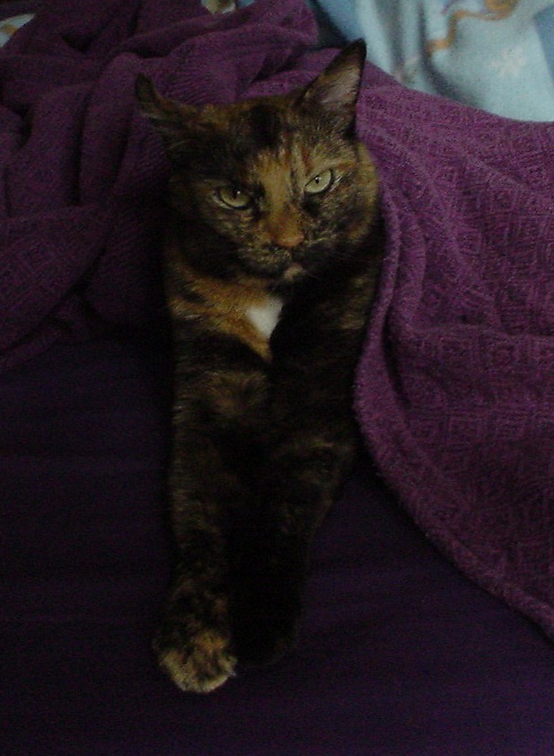 DSC01011
