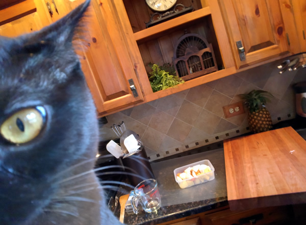 #throughglass