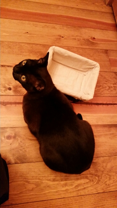 20140919_192503.jpg image