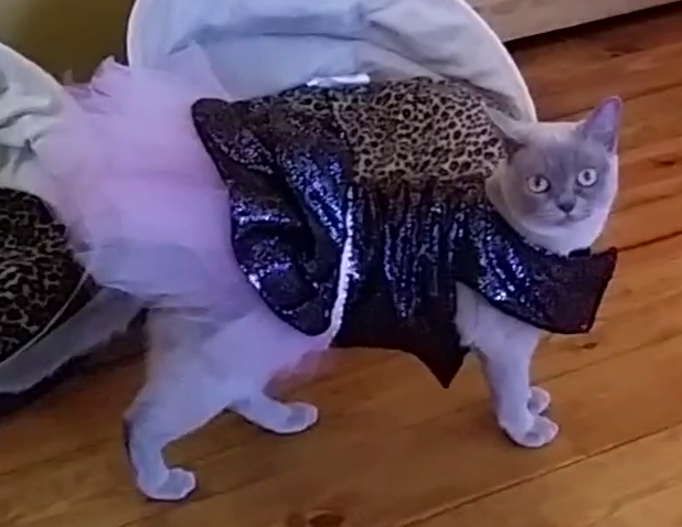 luna