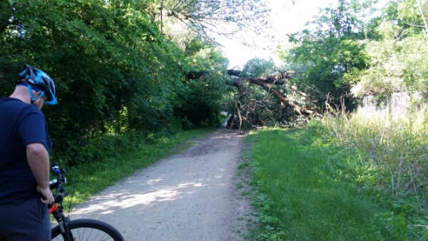 20150616_174906.jpg image