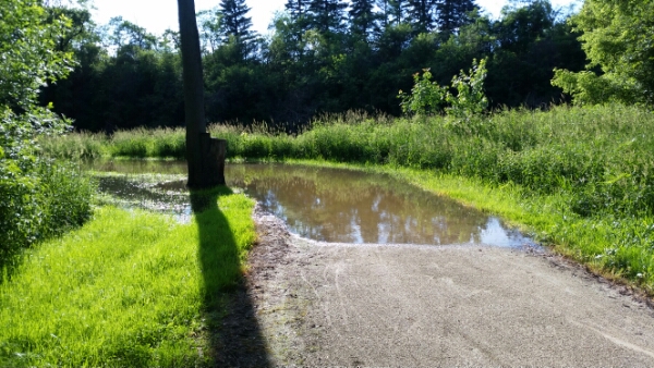 20150616_180329.jpg image