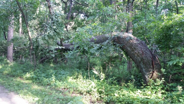 20150616_181214.jpg image