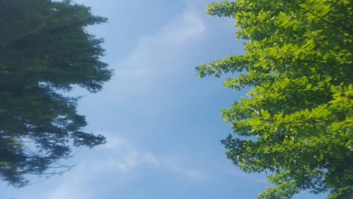 wp-1436742134872 image