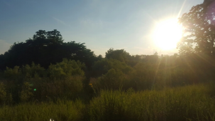 wp-1437877000732 image