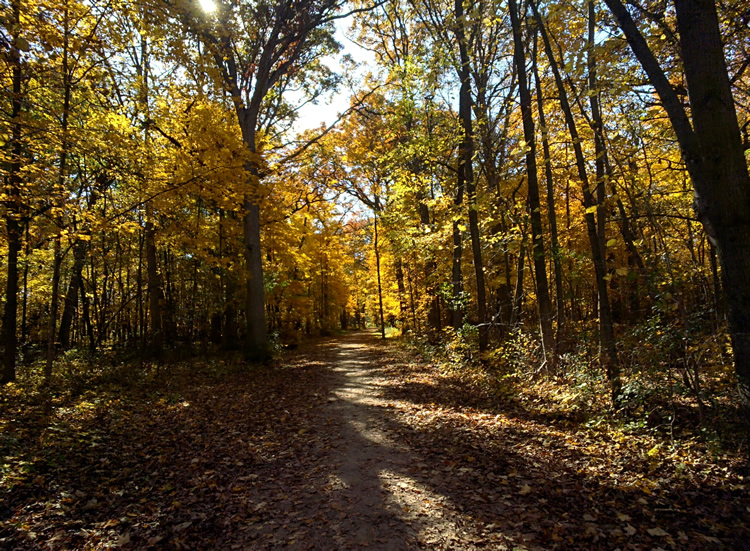 20151025_134320_079
