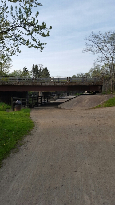 wp-1462752548273 image