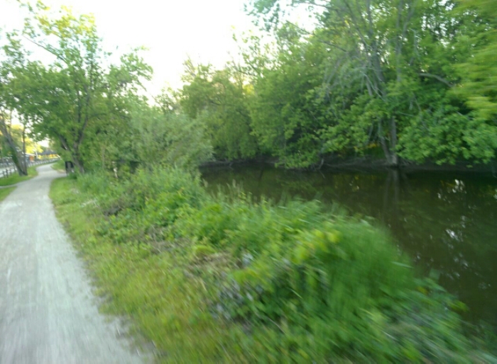 wp-1464654831745 image